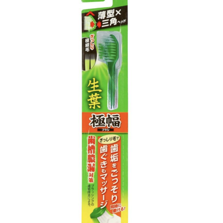 1 Extra-Width Fresh-Leaf Brush (Regular)