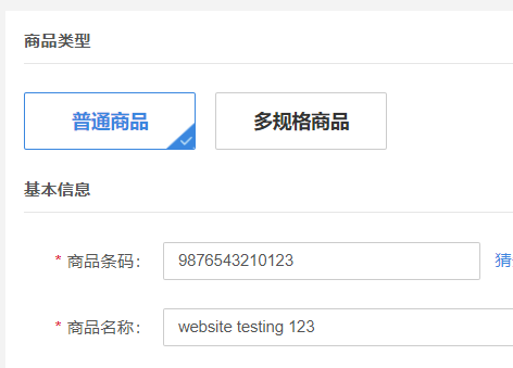 website testing 123
