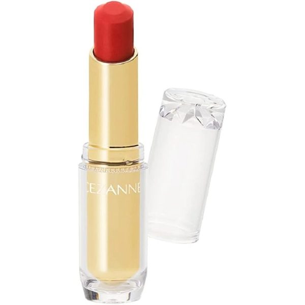 CEZANNE Lasting Gloss Slip 501